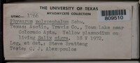 Image Associated With the Occurence